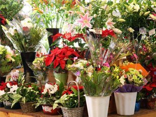 Your One-Stop Flower Shop Singapore